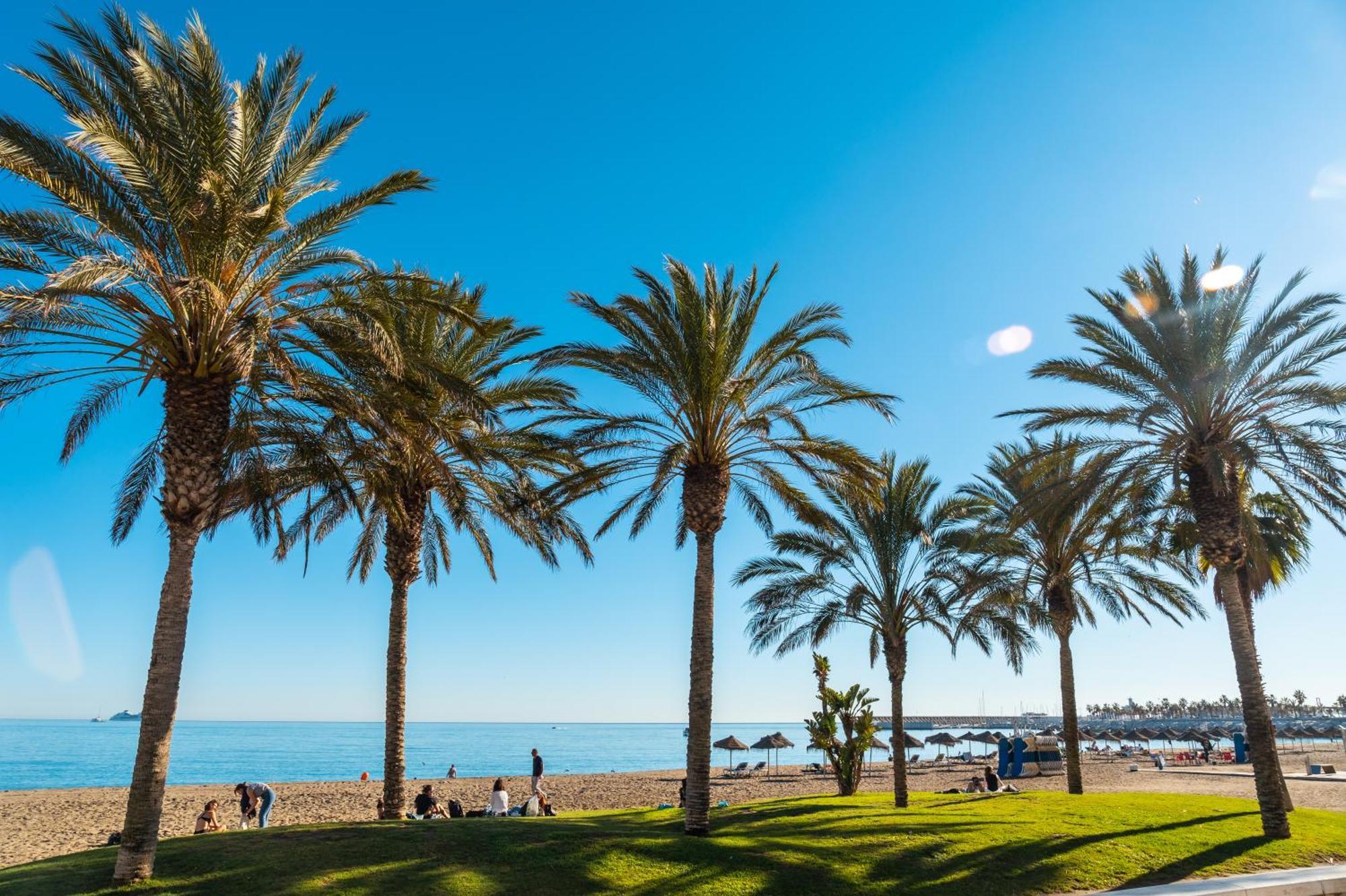 Your Home In Malaga Centro & Parking Free Exteriör bild